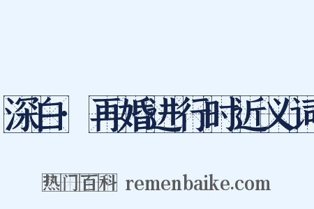 深白·再婚进行时近义词是什么意思的图片